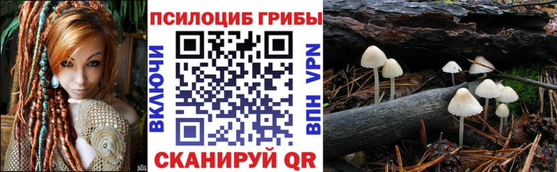 Псилоцибиновые грибы мицелий  Ахтырский 